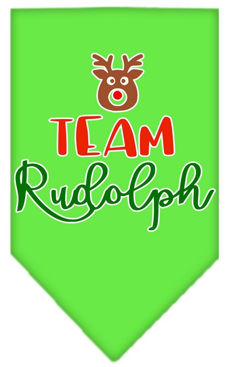 Team Rudolph Screen Print Bandana Lime Green Large